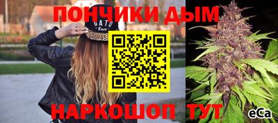 PSILOCYBIN Кинель
