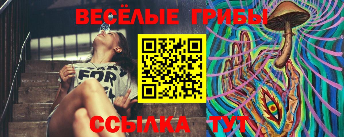 Котлас  Псилоцибиновые грибы Magic Shrooms  Вход с VPN  Галлюциногенные грибы Cubensis 
