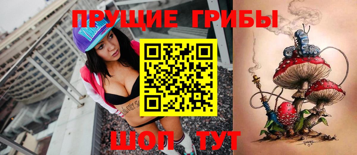 Псилоцибиновые грибы GOLDEN TEACHER Котлас